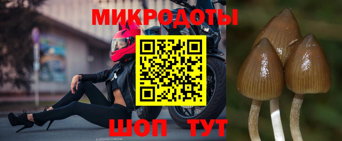 Фрязино  Галлюциногенные грибы MAGIC MUSHROOMS  Вход с VPN 